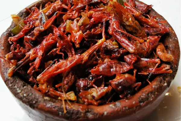 CHAPULINES